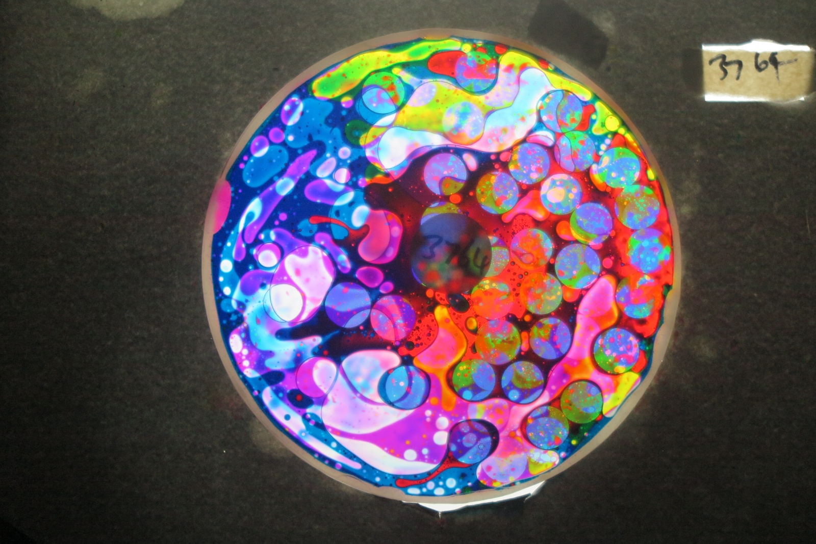 BV3764 bubble vision oil wheel